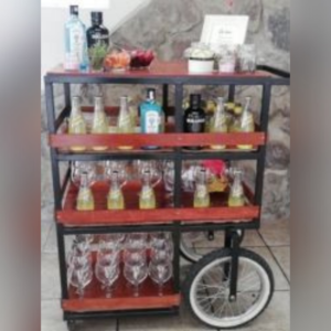Servicio Barra / Carrito de Gin Tonic